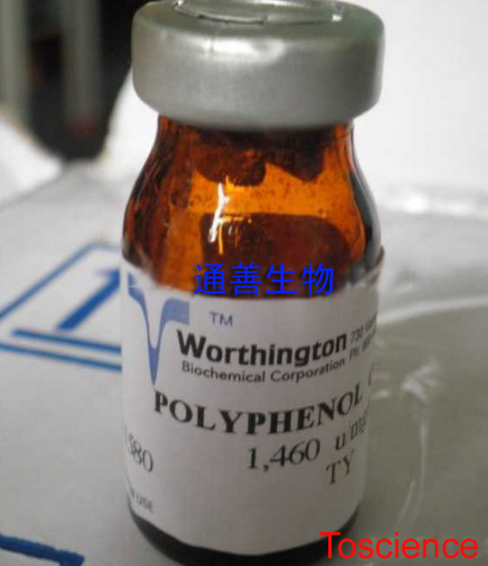 胶原酶,II型 Collagenase, Type 2